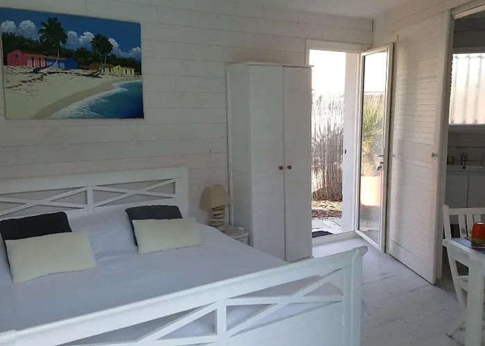 Caraibes Gujan-Mestras