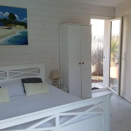 Caraibes 구장메스트라