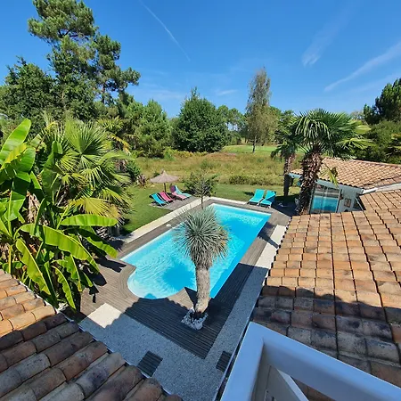 Caraibes 구장메스트라