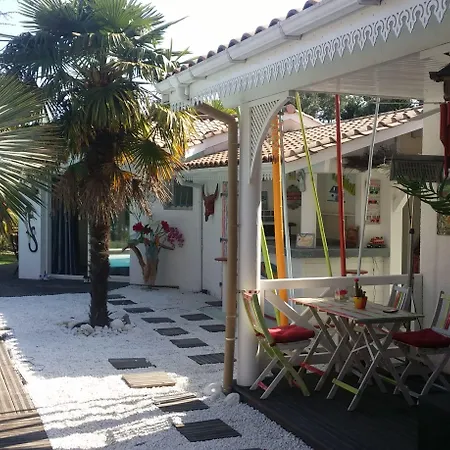 Caraibes 게스트하우스