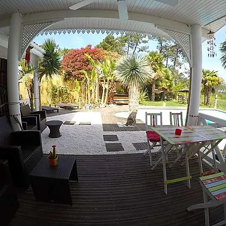Caraibes Gujan-Mestras