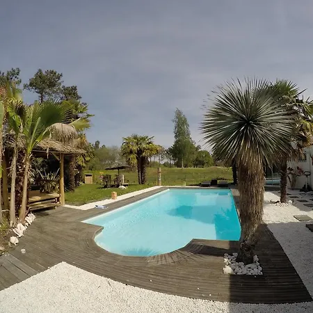 Caraibes 구장메스트라